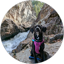 Angie P. profile picture